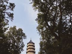 -灵谷景区