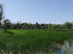 -水西公园