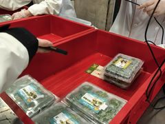 -王家沙点心店(南京西路总店)