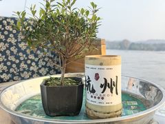 -西湖游船