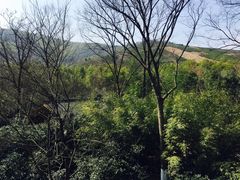 -天目湖御水温泉·度假酒店