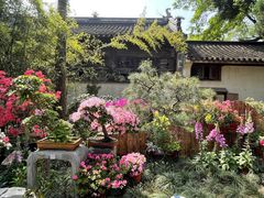 -惠山古镇·寄畅园