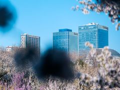-海棠花溪(元大都城垣遗址公园)