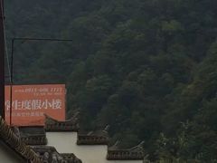 -朝阳沟