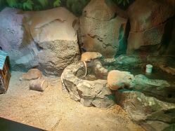 点击看大图 -酷嗒动物文化乐园(cutezoo西溪乐天城店)