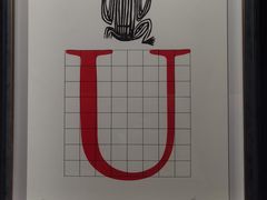 -凤凰中心