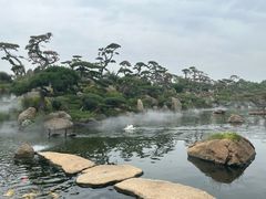 -罗红摄影艺术馆