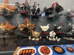 -昆明动物博物馆