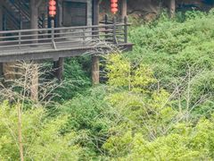-大唐贡茶院