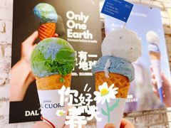 OATLY燕麦地球-Dal Cuore 达可芮冰淇淋(陕西北路店)