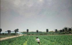 -麦粒鸟亲子游
