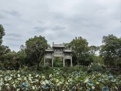 -西溪国家湿地公园