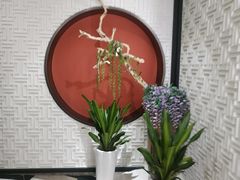 -圆苑(金茂店)