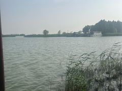 -苏州太湖湖滨国家湿地公园
