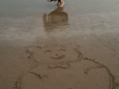 -金海湾海鲜排档(朱家尖店)