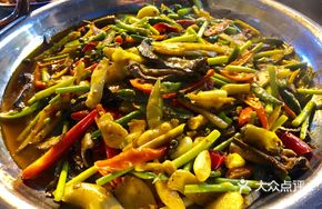 Winter Paddy Field Earth Eel