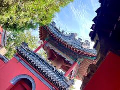 -药王庙(安国市)