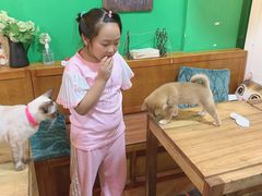 大堂-李小姐の猫咖啡馆(五角场店)