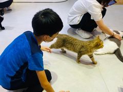-Heymao猫咖.咖啡厅(东门店)
