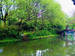 -西溪国家湿地公园