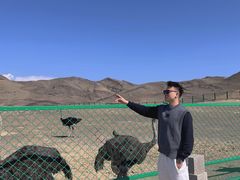 -新疆天山野生动物园