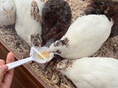 -南宫五洲植物乐园