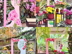 -正佳雨林生态植物园
