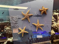 -上海中国航海博物馆