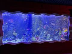 -太平洋海底世界