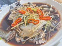 -煲来饱去冷水鱼