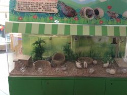 -童梦园主题乐园(天津泉汇购物广场店)