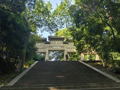 -灵谷景区