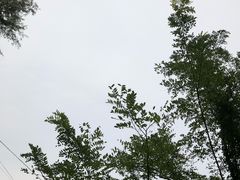 -青龙潭鱼庄