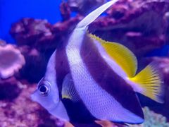 -青岛海底世界-水族馆