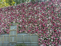 -半岛1919创意园区