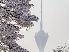 -红星桥(地铁站)