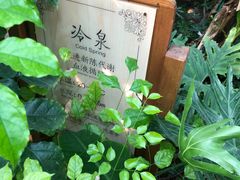 -南宫温泉水世界