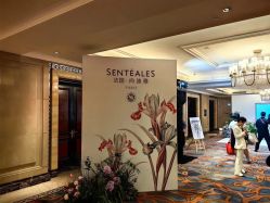 -星河湾酒店·宴会厅(番禺大道北店)