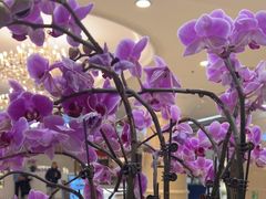 -北京广安门维景国际大酒店