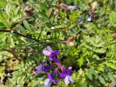 -汉长安城未央宫国家考古遗址公园