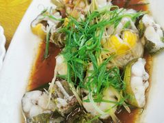 清蒸黄骨鱼-顺德新鲜猪杂粥(第九分店)