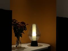 -阿妮叶李(光谷世界城店)