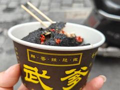 -武爹臭豆腐(坡子街店)