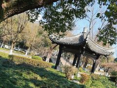 -仓桥直街
