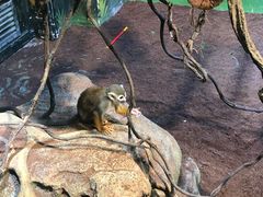 -华夏文旅西安度假区