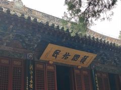 -洛阳白马寺