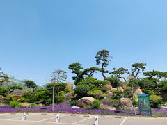 -罗红摄影艺术馆