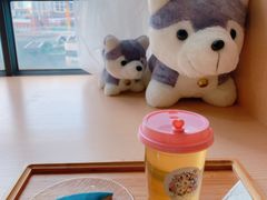 -Husky Go! 哈士奇体验馆·宠物咖啡厅狗咖