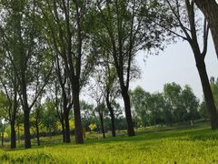 -东郊湿地公园