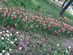 -长春公园(普阳街道)